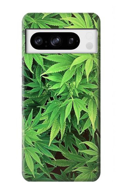 W1656 Marijuana Plant Hard Case and Leather Flip Case For Google Pixel 8 pro