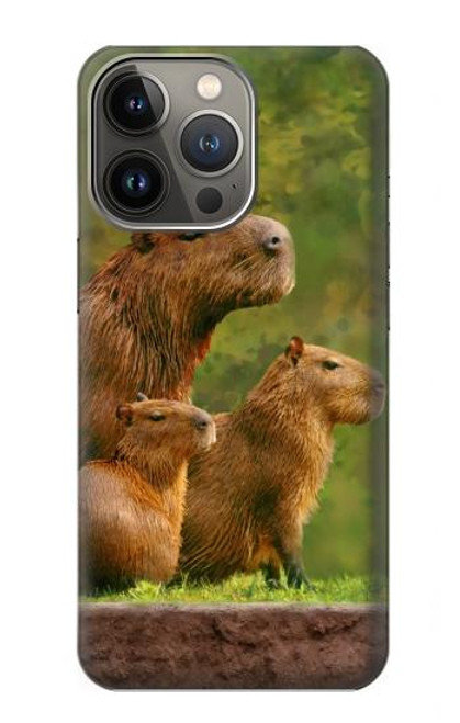 W3917 Capybara Family Giant Guinea Pig Hard Case and Leather Flip Case For iPhone 14 Pro Max