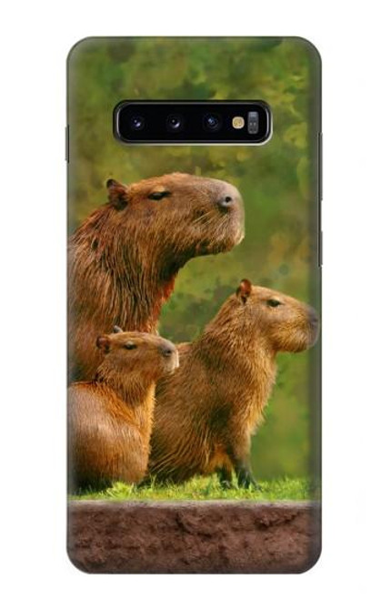W3917 Capybara Family Giant Guinea Pig Hard Case and Leather Flip Case For Samsung Galaxy S10 Plus