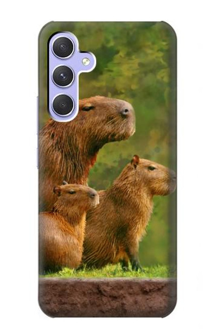 W3917 Capybara Family Giant Guinea Pig Hard Case and Leather Flip Case For Samsung Galaxy A54 5G