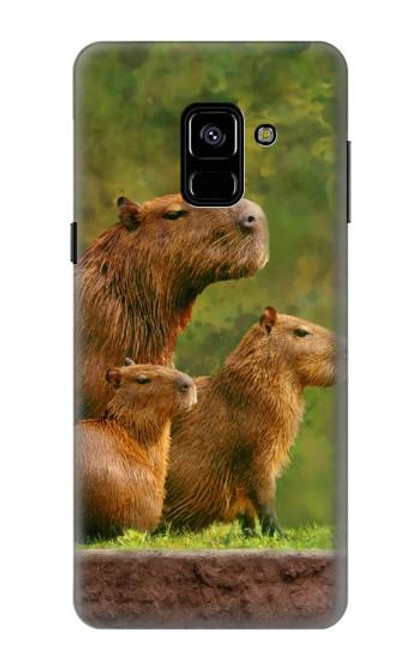 W3917 Capybara Family Giant Guinea Pig Hard Case and Leather Flip Case For Samsung Galaxy A8 (2018)
