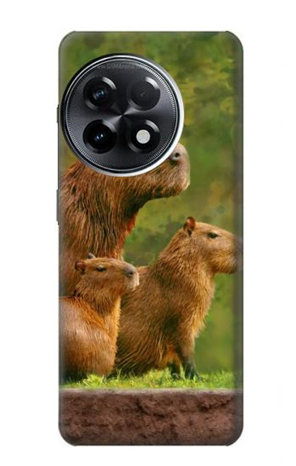 W3917 Capybara Family Giant Guinea Pig Hard Case and Leather Flip Case For OnePlus 11R