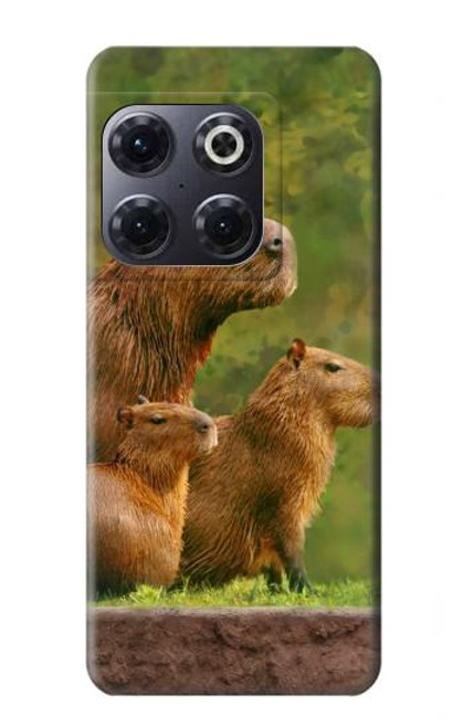 W3917 Capybara Family Giant Guinea Pig Hard Case and Leather Flip Case For OnePlus 10T