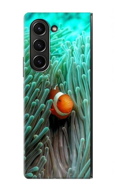 W3893 Ocellaris clownfish Hard Case For Samsung Galaxy Z Fold 5