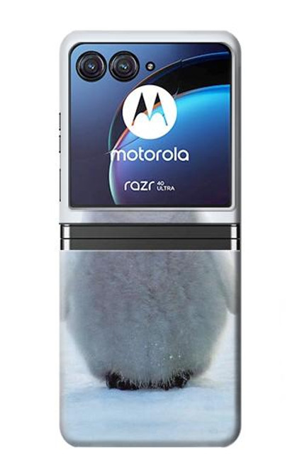 W1075 Penguin Ice Hard Case For Motorola Razr 40 Ultra