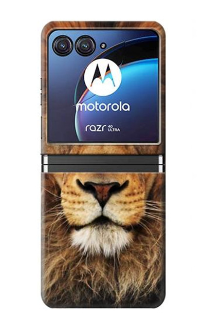 W2870 Lion King of Beasts Hard Case For Motorola Razr 40 Ultra