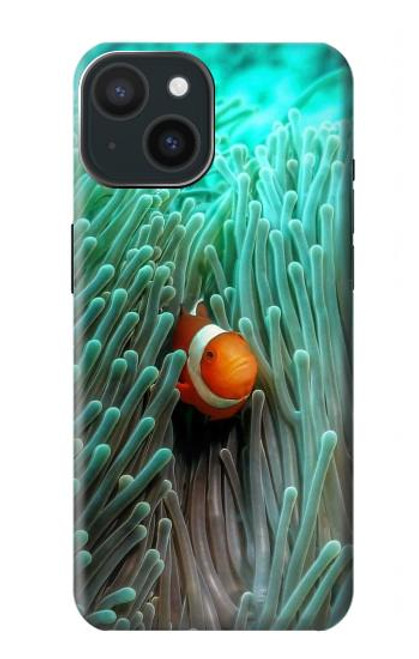 W3893 Ocellaris clownfish Hard Case and Leather Flip Case For iPhone 15