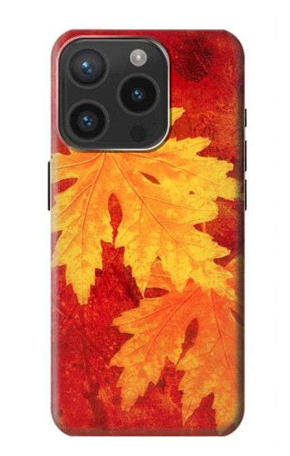 W0479 Maple Leaf Hard Case and Leather Flip Case For iPhone 15 Pro