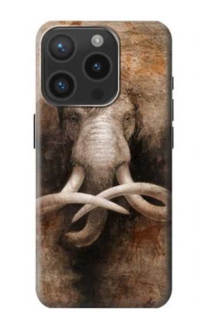 W3427 Mammoth Ancient Cave Art Hard Case and Leather Flip Case For iPhone 15 Pro