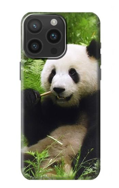 W1073 Panda Enjoy Eating Hard Case and Leather Flip Case For iPhone 15 Pro Max