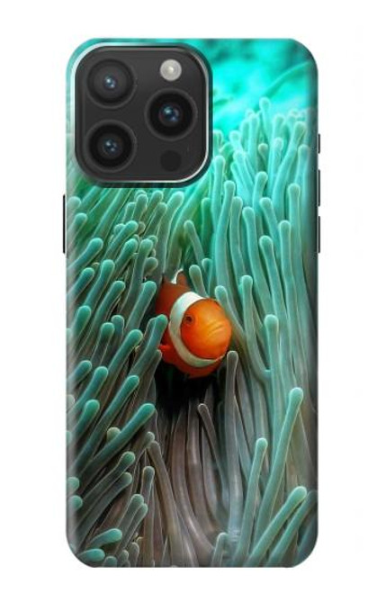 W3893 Ocellaris clownfish Hard Case and Leather Flip Case For iPhone 15 Pro Max