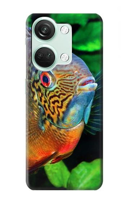 W1812 Cichlid Fish Hard Case and Leather Flip Case For OnePlus Nord 3