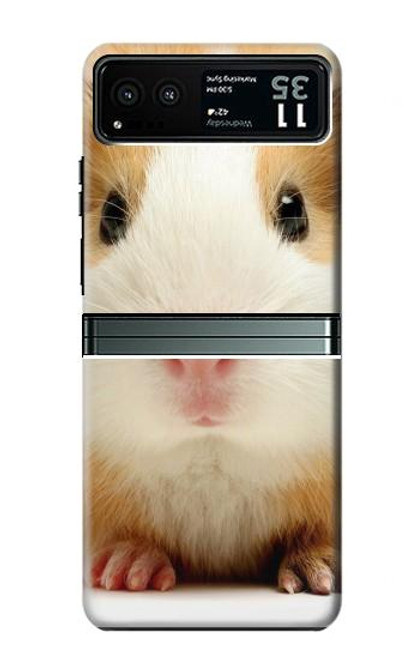 W1619 Cute Guinea Pig Hard Case and Leather Flip Case For Motorola Razr 40