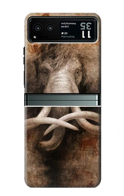 W3427 Mammoth Ancient Cave Art Hard Case and Leather Flip Case For Motorola Razr 40