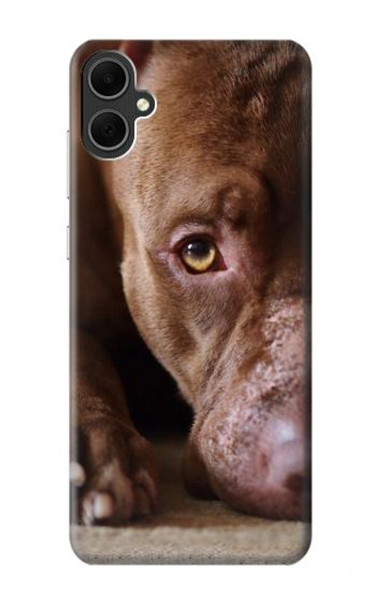 W0519 PitBull Face Hard Case and Leather Flip Case For Samsung Galaxy A05
