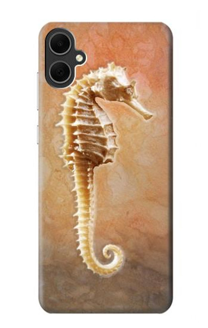 W2674 Seahorse Skeleton Fossil Hard Case and Leather Flip Case For Samsung Galaxy A05