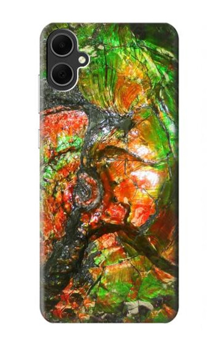 W2694 Ammonite Fossil Hard Case and Leather Flip Case For Samsung Galaxy A05