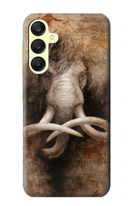 W3427 Mammoth Ancient Cave Art Hard Case and Leather Flip Case For Samsung Galaxy A25 5G