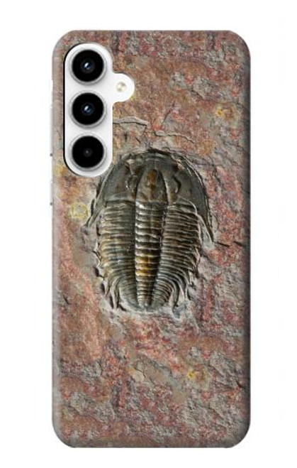 W1454 Trilobite Fossil Hard Case and Leather Flip Case For Samsung Galaxy A35 5G