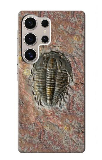 W1454 Trilobite Fossil Hard Case and Leather Flip Case For Samsung Galaxy S24 Ultra