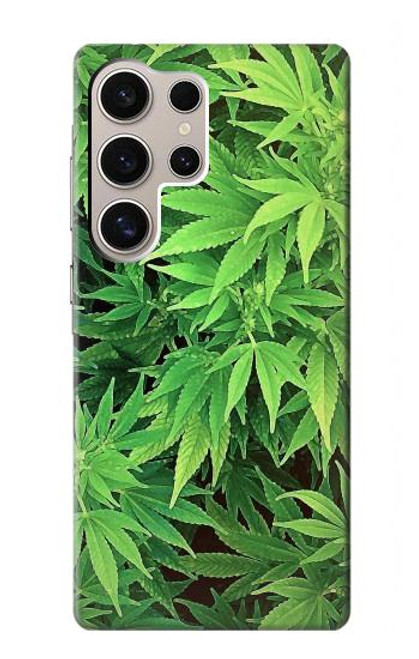 W1656 Marijuana Plant Hard Case and Leather Flip Case For Samsung Galaxy S24 Ultra