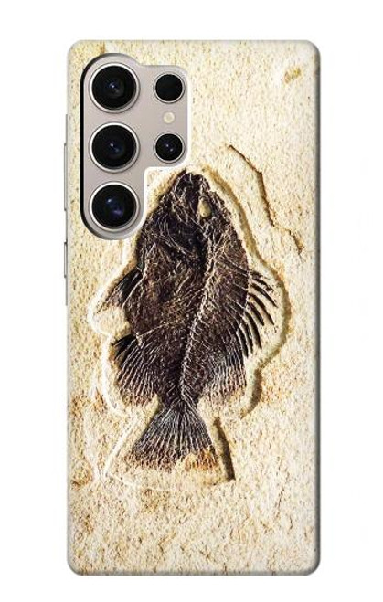 W2562 Fossil Fish Hard Case and Leather Flip Case For Samsung Galaxy S24 Ultra