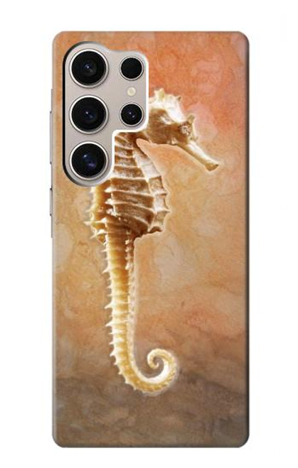 W2674 Seahorse Skeleton Fossil Hard Case and Leather Flip Case For Samsung Galaxy S24 Ultra