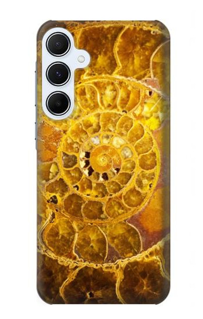 W1789 Ammonite Fossils Hard Case and Leather Flip Case For Samsung Galaxy A55 5G