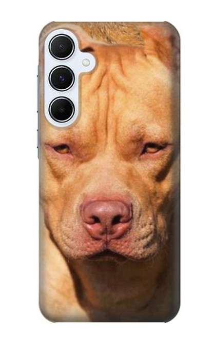 W2903 American Pitbull Dog Hard Case and Leather Flip Case For Samsung Galaxy A55 5G