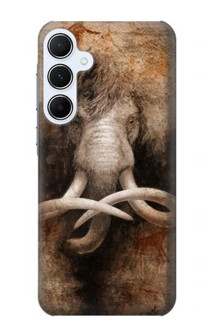 W3427 Mammoth Ancient Cave Art Hard Case and Leather Flip Case For Samsung Galaxy A55 5G