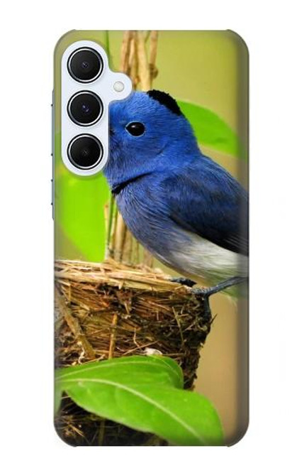 W3839 Bluebird of Happiness Blue Bird Hard Case and Leather Flip Case For Samsung Galaxy A55 5G