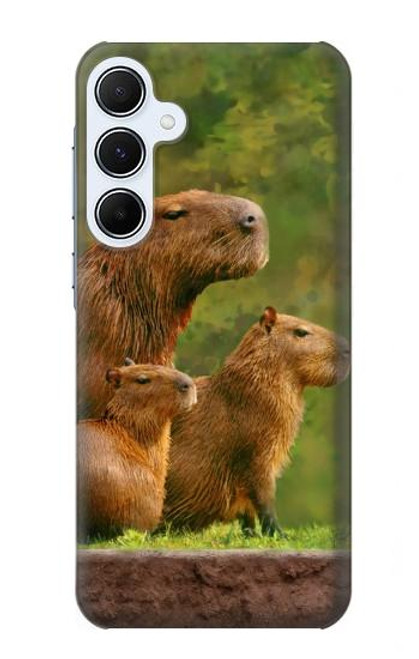 W3917 Capybara Family Giant Guinea Pig Hard Case and Leather Flip Case For Samsung Galaxy A55 5G