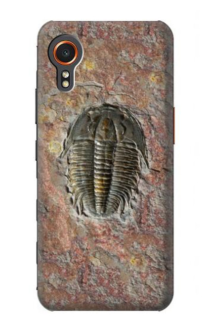 W1454 Trilobite Fossil Hard Case and Leather Flip Case For Samsung Galaxy Xcover7