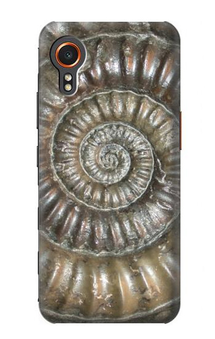 W1788 Ammonite Fossil Hard Case and Leather Flip Case For Samsung Galaxy Xcover7