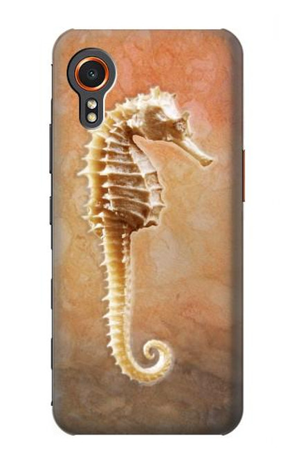 W2674 Seahorse Skeleton Fossil Hard Case and Leather Flip Case For Samsung Galaxy Xcover7