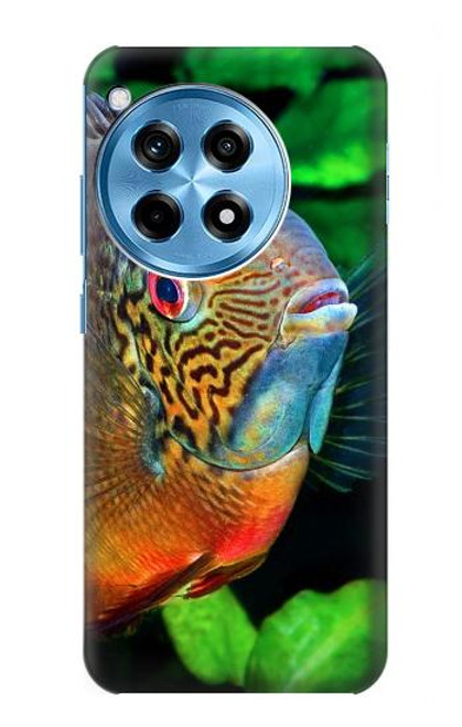 W1812 Cichlid Fish Hard Case and Leather Flip Case For OnePlus 12R