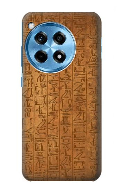 W2805 Egyptian Hierogylphics Papyrus of Ani Hard Case and Leather Flip Case For OnePlus 12R