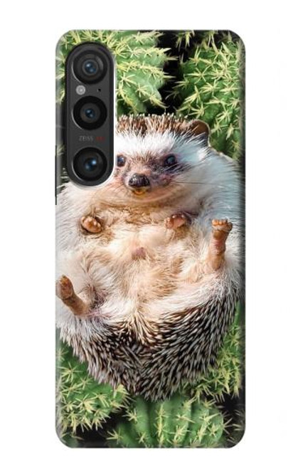 W3863 Pygmy Hedgehog Dwarf Hedgehog Paint Hard Case and Leather Flip Case For Sony Xperia 1 VI