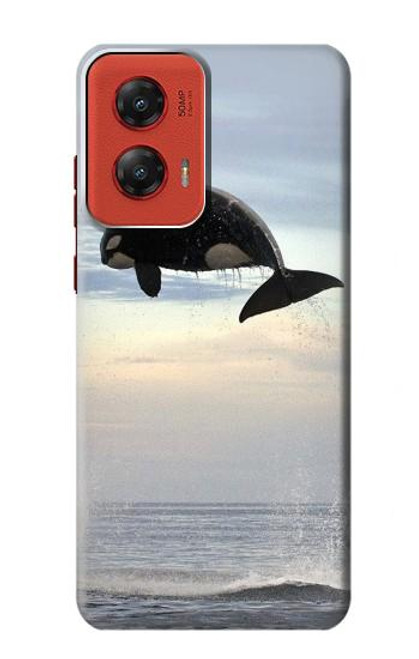 W1349 Killer whale Orca Hard Case and Leather Flip Case For Motorola Moto G Stylus 5G (2024)