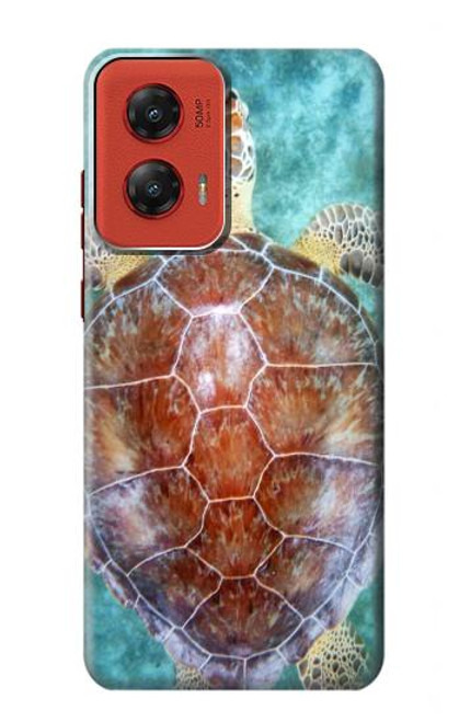 W1424 Sea Turtle Hard Case and Leather Flip Case For Motorola Moto G Stylus 5G (2024)