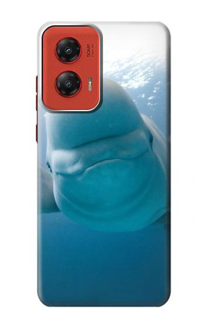 W1801 Beluga Whale Smile Whale Hard Case and Leather Flip Case For Motorola Moto G Stylus 5G (2024)