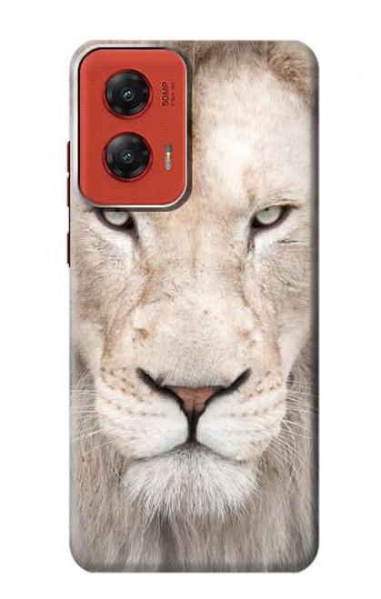 W2399 White Lion Face Hard Case and Leather Flip Case For Motorola Moto G Stylus 5G (2024)