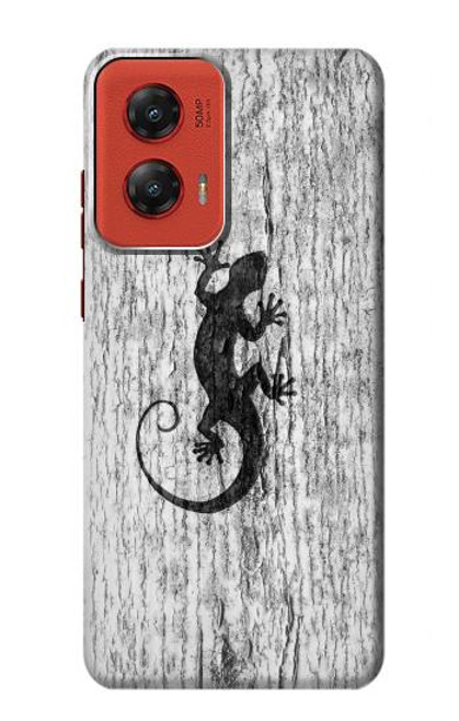 W2446 Gecko Wood Graphic Printed Hard Case and Leather Flip Case For Motorola Moto G Stylus 5G (2024)