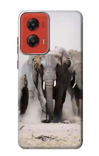 W3142 African Elephant Hard Case and Leather Flip Case For Motorola Moto G Stylus 5G (2024)