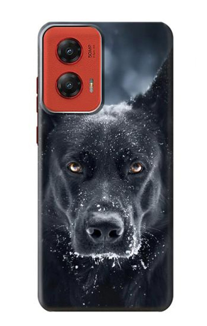 W3168 German Shepherd Black Dog Hard Case and Leather Flip Case For Motorola Moto G Stylus 5G (2024)