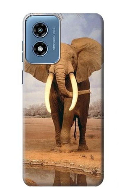 W0310 African Elephant Hard Case and Leather Flip Case For Motorola Moto G Play 4G (2024)