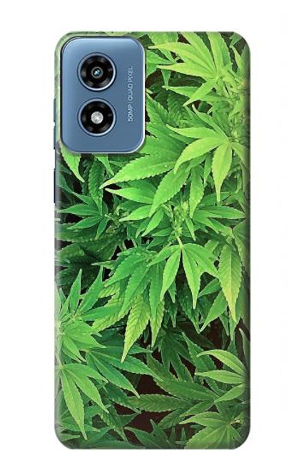 W1656 Marijuana Plant Hard Case and Leather Flip Case For Motorola Moto G Play 4G (2024)