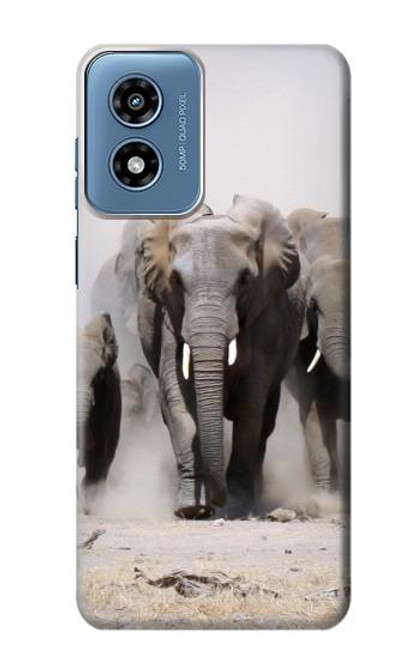 W3142 African Elephant Hard Case and Leather Flip Case For Motorola Moto G Play 4G (2024)