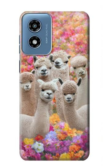 W3916 Alpaca Family Baby Alpaca Hard Case and Leather Flip Case For Motorola Moto G Play 4G (2024)