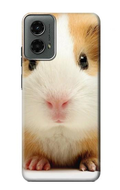 W1619 Cute Guinea Pig Hard Case and Leather Flip Case For Motorola Moto G 5G (2024)